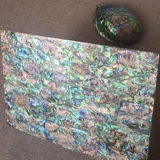 Новая Зеландия Абалоновая плата с оболочкой толщиной 0,5 мм с двойным синим мясом