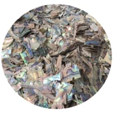 Фрагментация раковины с раковиной Глубобы натуральные материалы с творческой краской ручной работы ручной работы