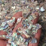 Фрагментация раковины с раковиной Глубобы натуральные материалы с творческой краской ручной работы ручной работы