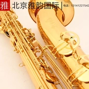 54 xuống nhạc cụ saxophone gió đông chơi dasa chuyên nghiệp - Nhạc cụ phương Tây