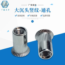 GB178802 new large countersunk head vertical pattern rivet nut 304 stainless steel hardware cylindrical stripe pull cap extended