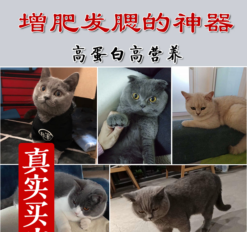Đồ ăn nhẹ cho mèo sấy khô thịt khô cá khô ức gà dinh dưỡng cho mèo thức ăn thô xương thịt bò vỗ béo - Đồ ăn nhẹ cho mèo Có nên trộn 2 loại hạt cho mèo