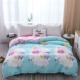 Cotton quilt cover Cotton đơn mảnh twill mùa xuân đơn đôi quilt Hàn Quốc sinh viên quilt bìa đặc biệt cung cấp