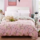 Cotton quilt cover Cotton đơn mảnh twill mùa xuân đơn đôi quilt Hàn Quốc sinh viên quilt bìa đặc biệt cung cấp