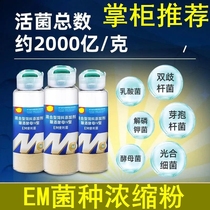 Embacteria concentrated powder Bacillus subtilis aquaculture fish and shrimp changed the bottom water fertilizer and water lactic acid bacteria probiotic species