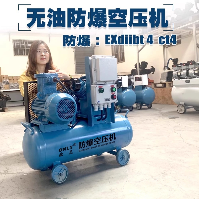 Explosion-Proof Air Compressor Grade Bt4 Oil-Free Inflatable Air Pump Silent Industrial Mining Chemical Ct4 Air Compressor