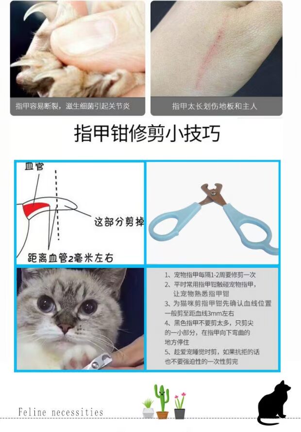 Vật nuôi thú cưng kéo móng tay mèo chó kéo móng tay cắt móng tay bàn chải lông pet