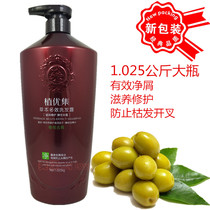 Plant herbs multi - effect shampoo 1 025kg olive dechip soft dry - protective fragrance shampoo