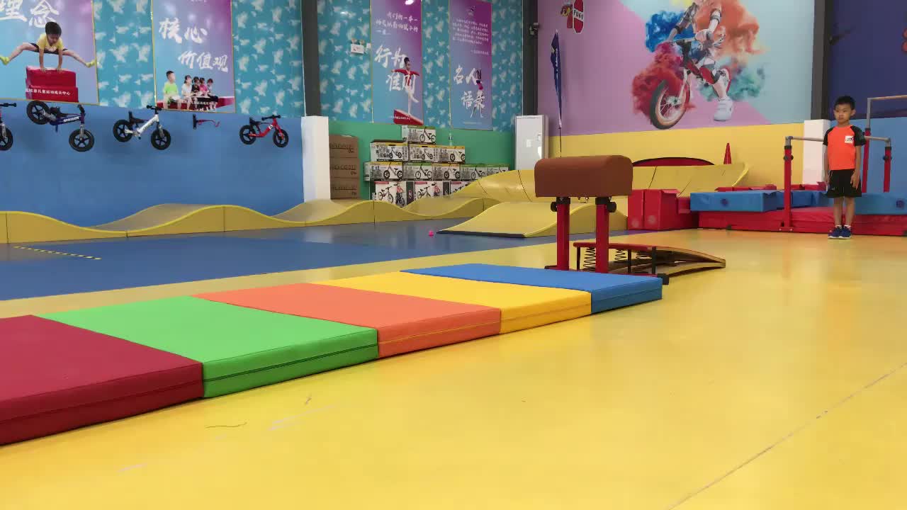 Vaulting Horse Gymnastics