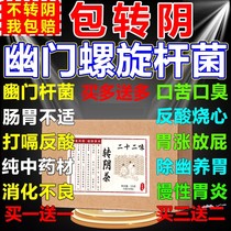 Cloves tea Helicobacter pylori triquadulian special effect medicine oral halitosis tea conditioning Gut Monkey Head Mushrooms Anti-Clear Probiotics