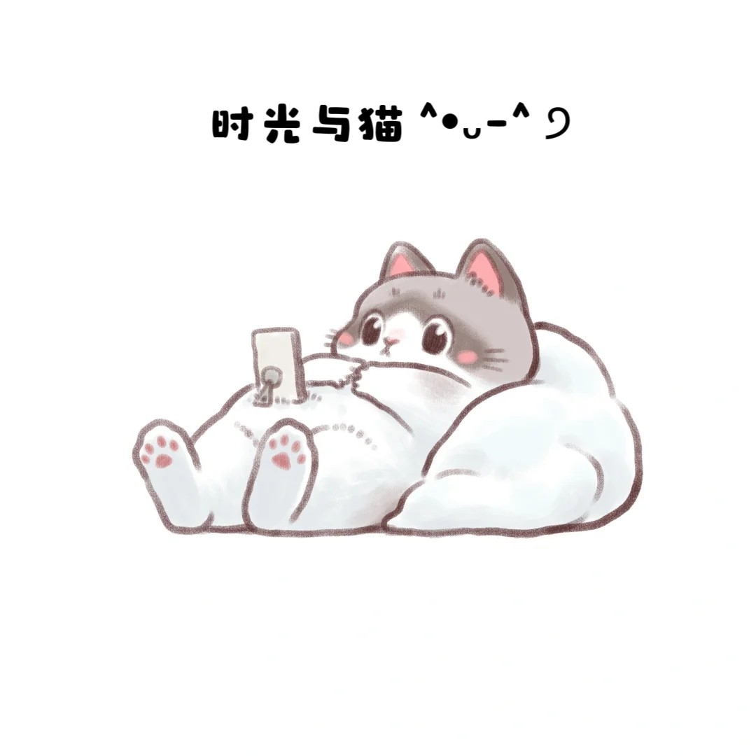 时光与猫