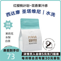 PINDA Siddamo washed Ethiopian red cherry plan shallow baking boutique hand punching single pint coffee beans