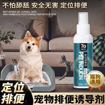 Germany specializes in dogs fixed-point defecation artifact toilet induction agent for dogs to urinate and defecate and train dogs not to poop.