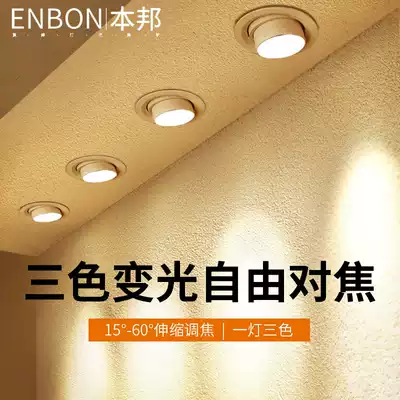 Zoom spotlight Embedded LED ceiling light cob Weevil light Clothing store bull's eye light Aisle corridor Household downlight