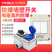Explosion-proof socket wall switch bright and concealed outdoor engineering industry 220V dustproof and waterproof socket with five holes with cover