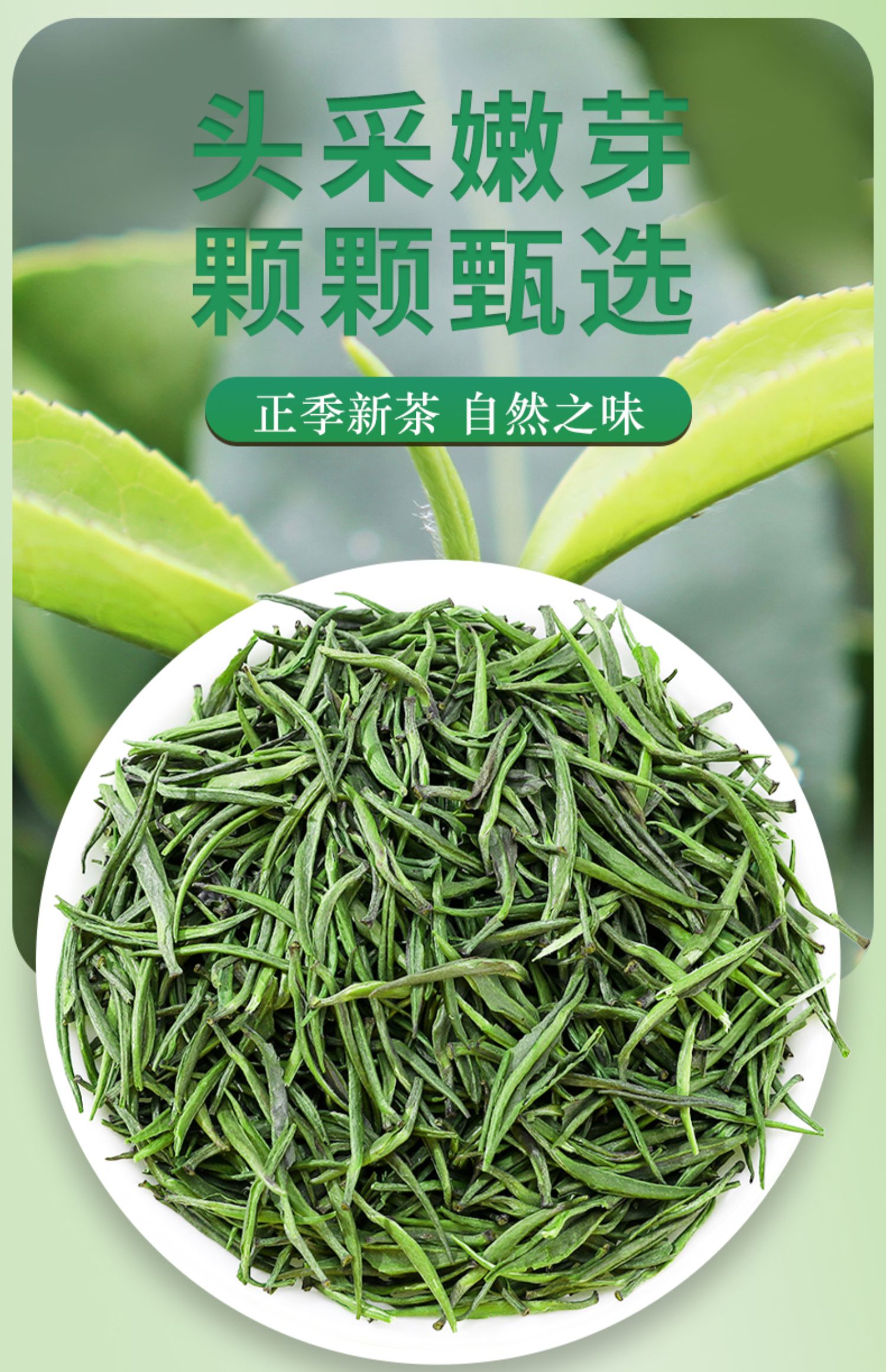 高山雀舌绿茶礼盒装200g