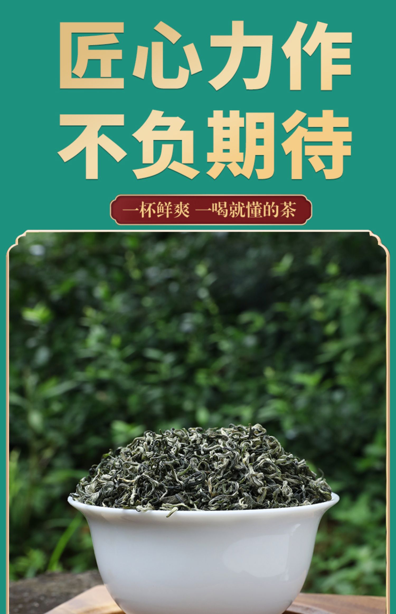 明前特级碧螺春茶礼盒装250g