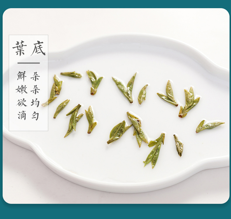 2021明前特级新茶龙井茶礼盒装