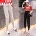 . Casual quần nữ 2020 mùa xuân / mùa hè Hàn Quốc phiên bản của eo cao hiển thị mỏng chín điểm hoa mặc quần xà cạp làm việc Harum quần 