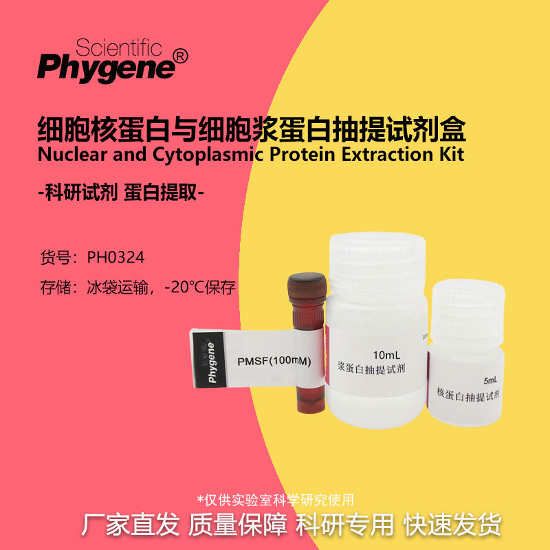 细胞核蛋白与细胞浆蛋白抽提提取试剂盒 [PH0324 PHYGENE]