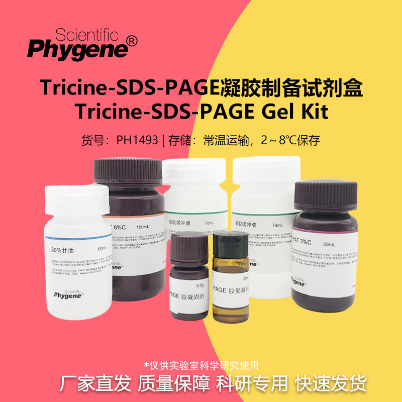 Tricine-SDS-PAGE凝胶制备试剂盒 100T [PH1493 PHYGENE]