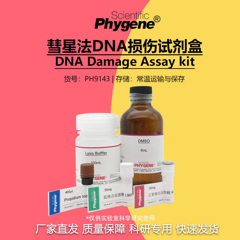 彗星法DNA损伤检测试剂盒 DNA Damage kit [PH9143 PHYGENE]