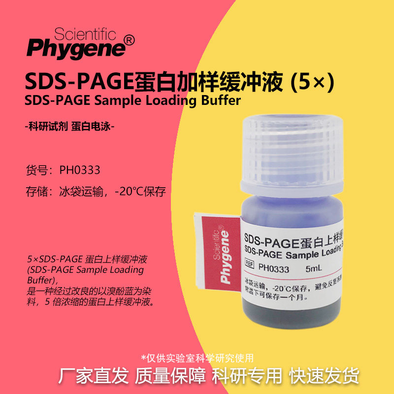 SDS-PAGE蛋白上样缓冲液（5X）加样缓冲液 5mL [PH0333 PHYGENE]