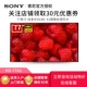 Sony / Sony KD-77A1 77 inch OLED 4K HDR Ultra HD TV màn hình lớn thông minh