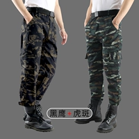 Одинарные брюки Black Hawk + Одинарные брюки в тигровую полоску