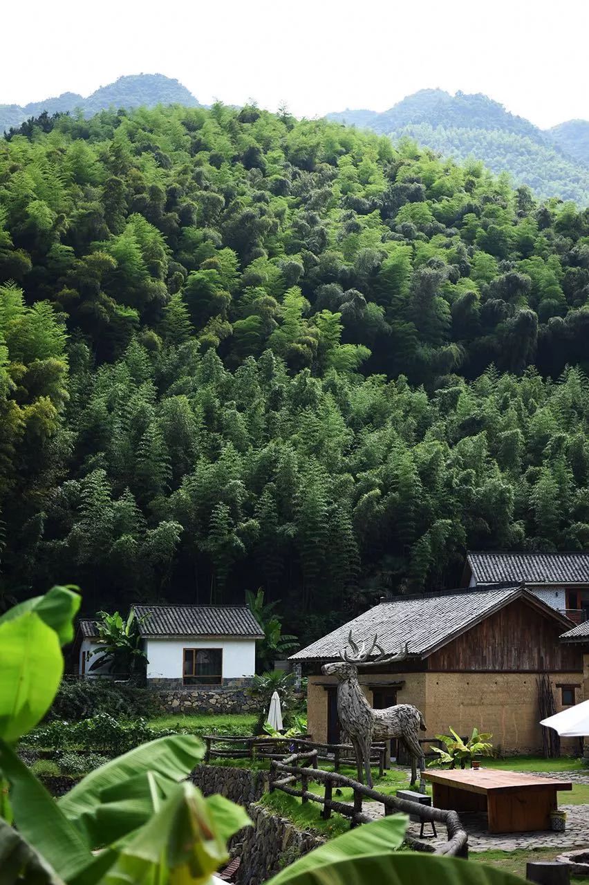 露营玩水萤火虫,完美夏日在这里开启