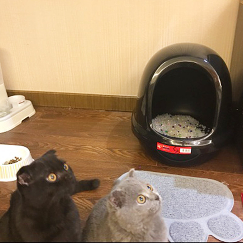 Alice cat litter box Semi-fully enclosed IRIS cat toilet splash-proof large cat litter box deodorant
