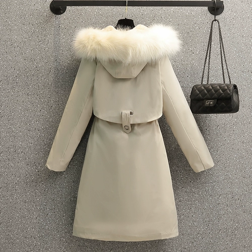 Зимний съемный вкладыш, куртка, коллекция 2022