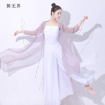 Classical dance body rhyme gauze art Test dance performance costume female elegant ancient style wear gown national dance jacket