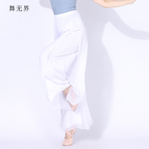 Classical dance modern womens new skirt pants new simulation silk double pants practice clothes elegant dress skirt