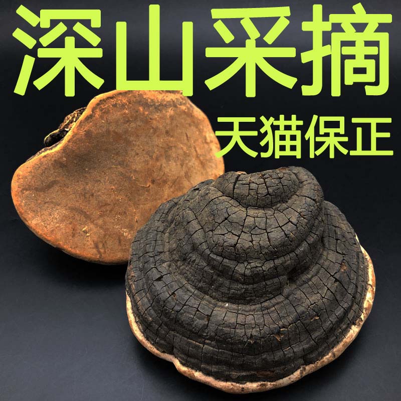 (Tmall Baozheng)Mountain Zixiqing Wild split hoof Ganoderma lucidum Changbai Mountain deep mountain growth split hoof wood layer pore bacteria dry products