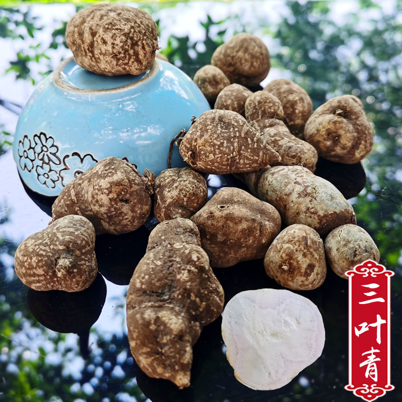 Three Leaves Green Wild Fresh Dry Goods Authentic Products 500g Guizhou Farmhouse Chinese Herbal Medicine Powder Gold Thread Hanging Gourd No Sulphur