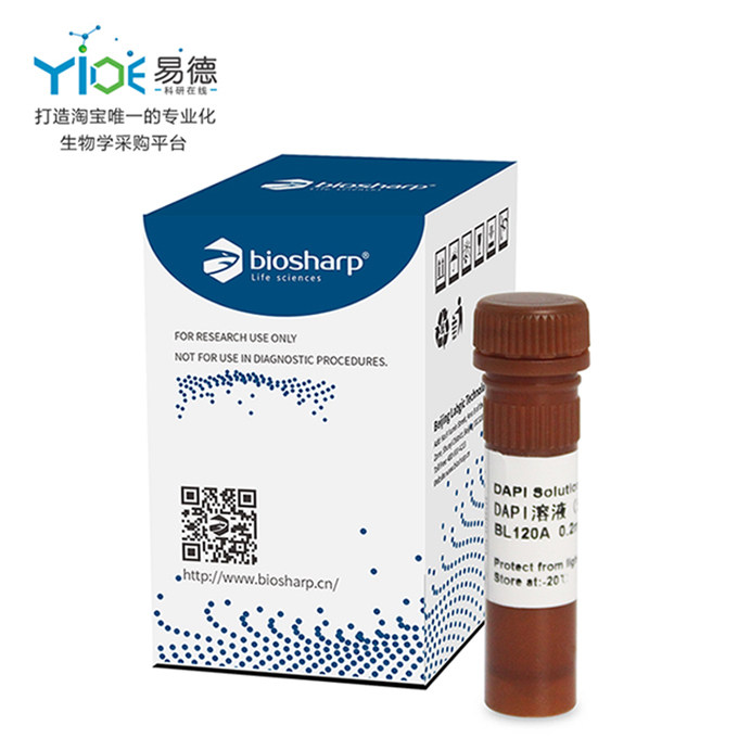 Biosharp/白鲨  DAPI溶液（5mg/ml）[BL120A]  0.2ml