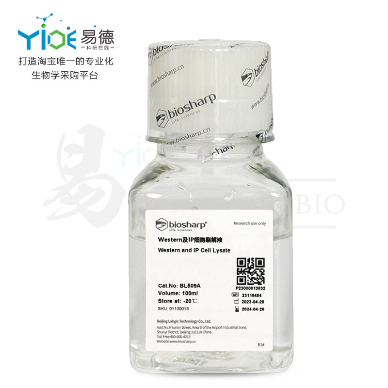 Biosharp实验试剂  Western及IP细胞裂解液  BL509A  100ml