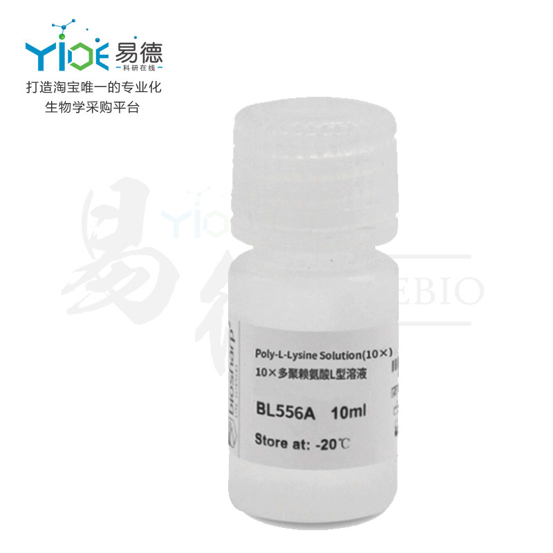 Biosharp/白鲨  10&times;多聚赖氨酸L型溶液MW:15-30[BL556A]  10ml