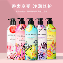 Korea Aijing shampoo anti-itching oil fluffy soft to improve frizz fragrance long lasting fragrance set