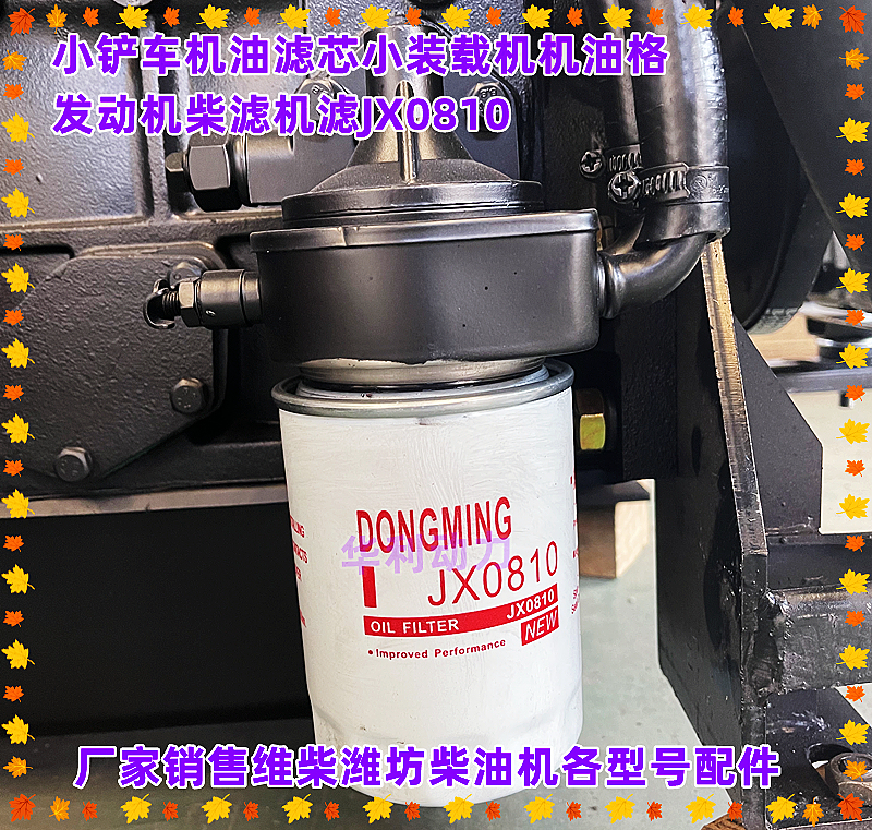 Small Forklift Oil Filter Element, Small Loader Oil Filter, Engine Diesel Filter, Machine Filter Jx0810/0810B Universal