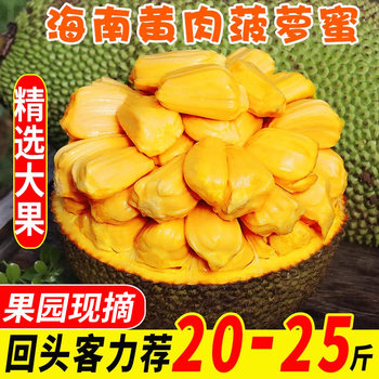 Hainan's specialty tree jackfruit, fresh fruit jackfruit, seasonal whole box 20-40 jin jin is equal to 0.5 kg, one whole red