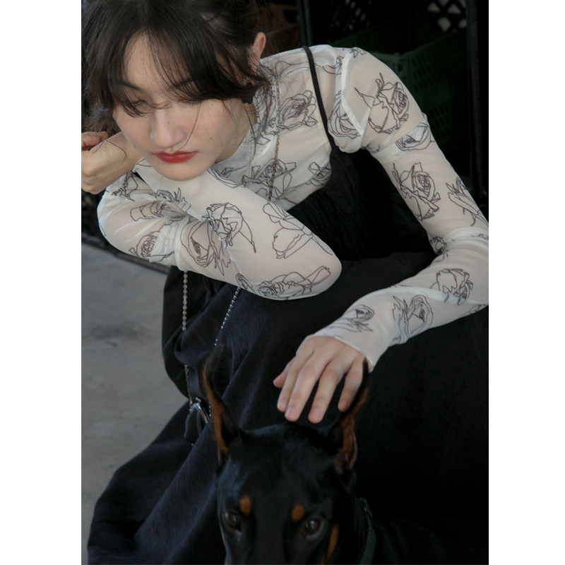 Hello Kanonza dye printed net yarn Nets for a T-shirt female summer and half height neckline with long sleeve summer dress 2022 new