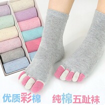 (3 6 pairs)Cotton socks five-finger socks Womens spring and autumn and winter socks color cotton short tube cotton socks deodorant five-finger socks