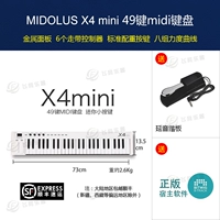 X4 mini (стандарт)