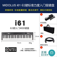 I61 Ключ (педаль+линия+сумка)