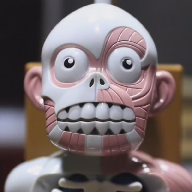 Tiktok Internet Celebrity Human Body Model Toy Children's Horror Internal Organs Skeleton Assembly Scary Prank Gadget Tiktok Internet Celebrity Human Body Model Toy Children's Horror Internal Organs Skeleton Assembly Scary Prank Gadget