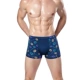 Giải phóng mặt bằng Quần lót nam Boxers modal cotton bốn góc tóm tắt quần trẻ trai quần lót nữ thun lạnh bóng