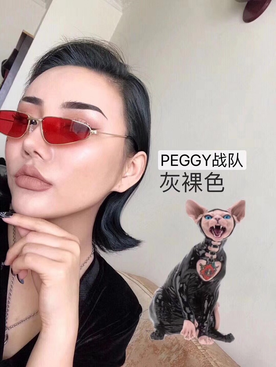 Nữ hoàng chúa HORNY PONY bộ sưu tập mới nhung mờ mờ tốt nhất son môi bóng son bóng 	son bóng l.a color	