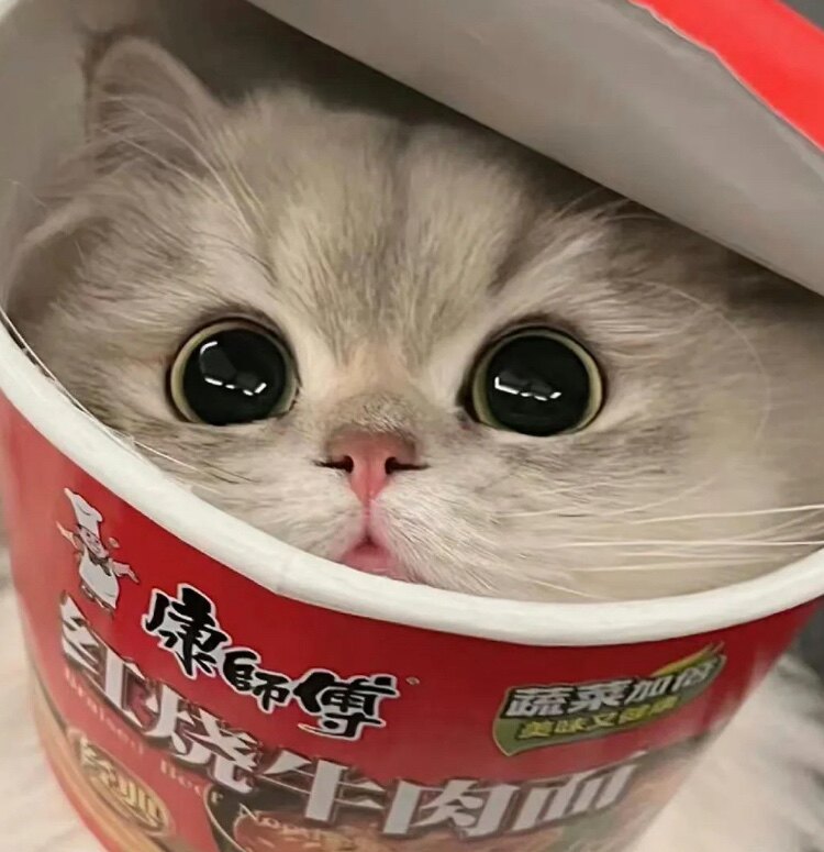 晚晚女鞋柜